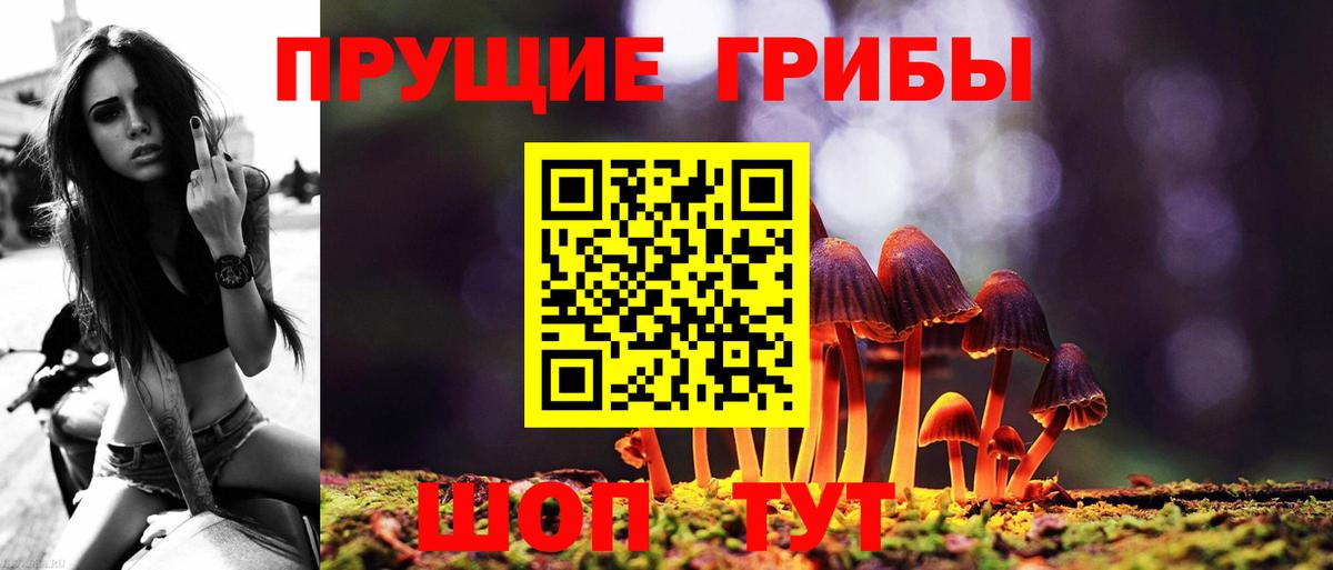 Комсомольск-на-Амуре  Галлюциногенные грибы Psilocybine cubensis  Вход с VPN 